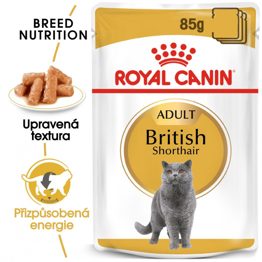 Royal Canin FBN BRITISH SHORTHAIR Gravy 12x 85 g, kapsičky