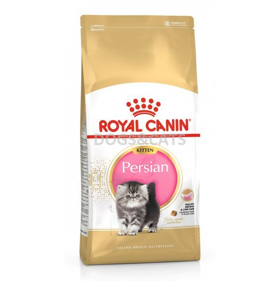 Royal Canin BHN Persian Kitten