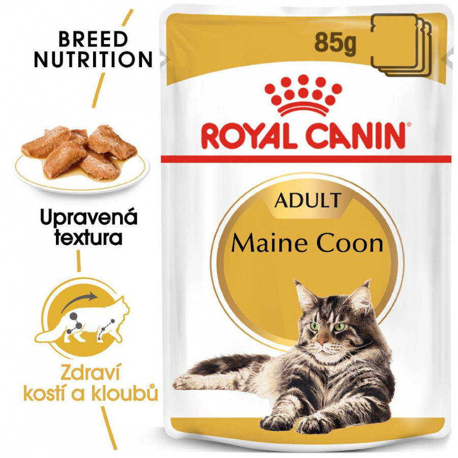 Royal Canin FBN MAINE COON Gravy 12x 85 g, kapsičky