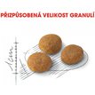 Royal Canin Cat Exigent Aromatic Attraction granule