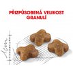 Royal Canin Kitten granule