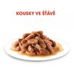 Royal Canin Kitten Instinctive Gravy Pouch real