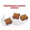 Royal Canin Kitten Sterilised granule