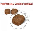 Royal Canin Cat Oral Care granule