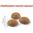 Royal Canin Cat Outdoor granule