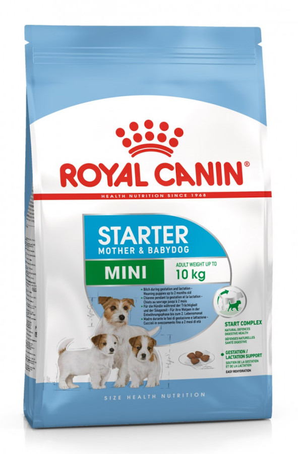 Royal Canin SHN Mini Starter 4 kg