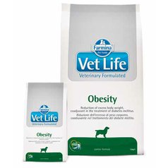 Vet Life Dog Obesity