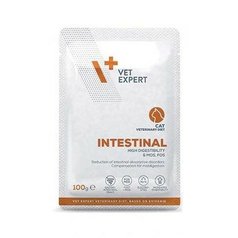 VetExpert VD Intestinal Cat kapsa