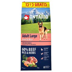 Ontario Adult Large Beef