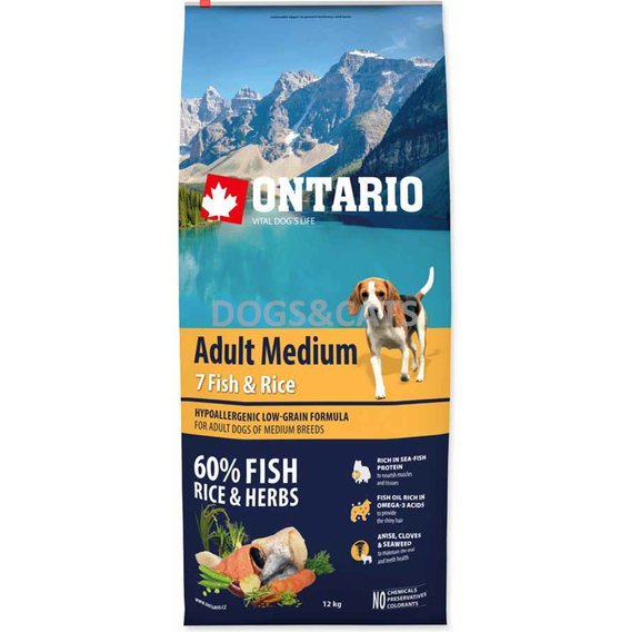 Ontario Adult Medium Fish