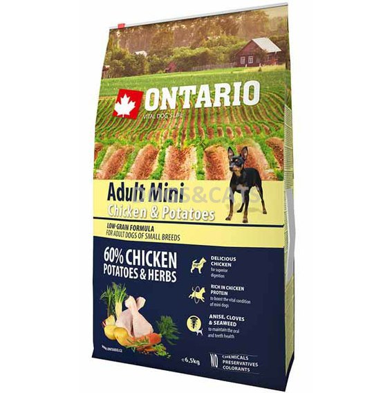 Ontario Adult Mini Chicken