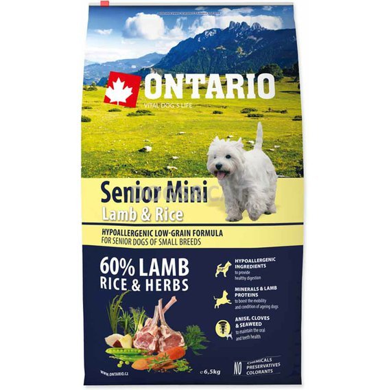 Ontario Senior Mini Lamb