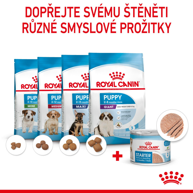 Royal canin starter outlet cena