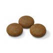 Royal Canin Agility Large granule