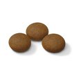 Royal Canin Trail granule