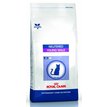 Royal Canin VCN Young Male